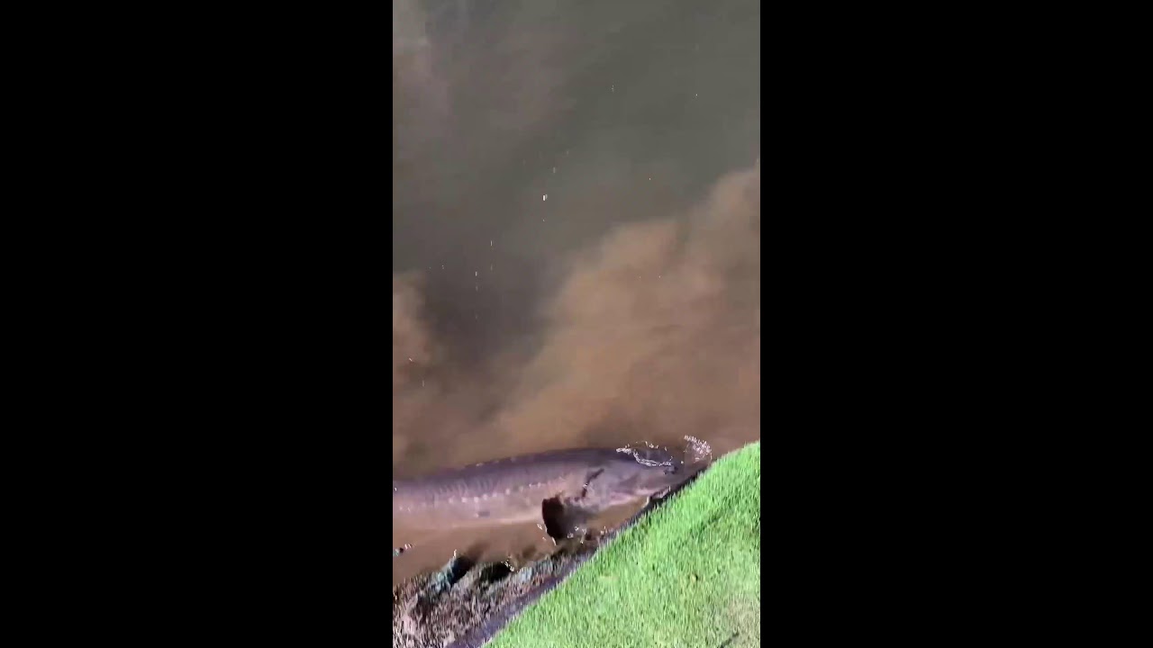 中国旅行直播 China Travel Live Streaming