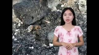 កមមវធ អតថបទ បតបងកនទងទវ ម ឪទទលវបបដសរបបណ