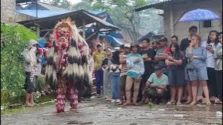Rangda jaranan putro.maruto Budoyo live Karangsari segobang