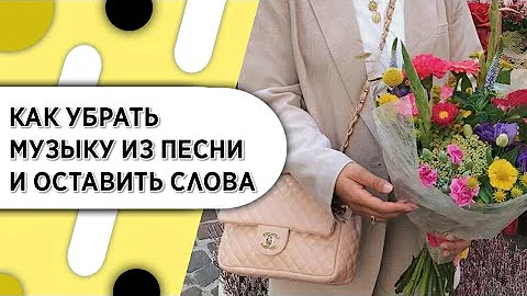 Как называется песня без музыки только слова