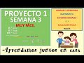 Semana 13: (Semana 3 deL Proyecto 1) Básica Superior: (8vo, 9no y 10mo)