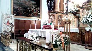 Ejea Virgen de la Oliva novena día 6