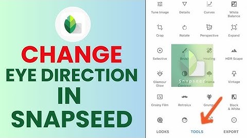 How to Change Eye Direction in Snapseed 2024?