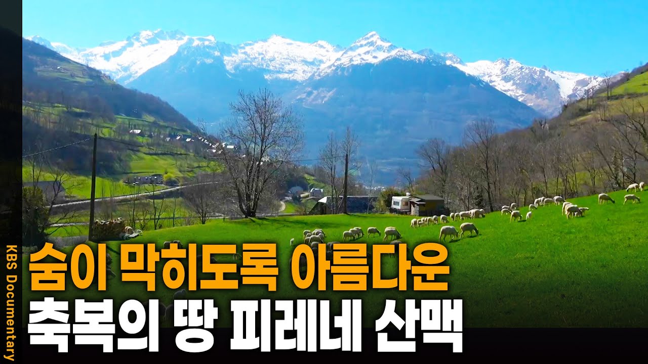 요정이 살고 있다는 아름다운 산, 피레네 산맥 | KBS 20241011 방송
