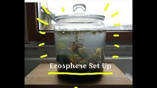 Big Ecosphere Set Up (from local lake)