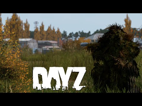 Видео: Кустовой снайпер - DayZ