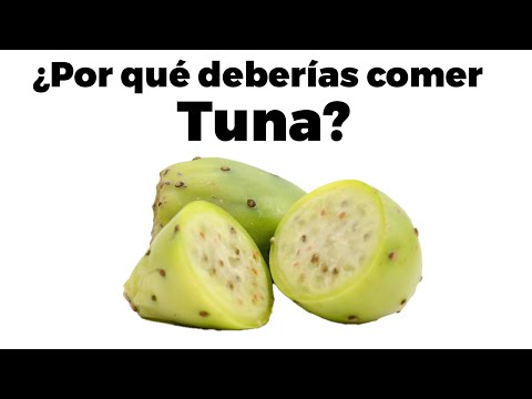 La Guía de las Vitaminas