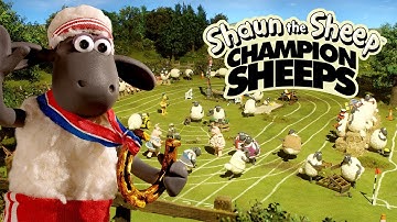 Full Episodes Compilation 🏆 Championsheeps 🐑 Shaun the Sheep #sport #ShaunTheSheep