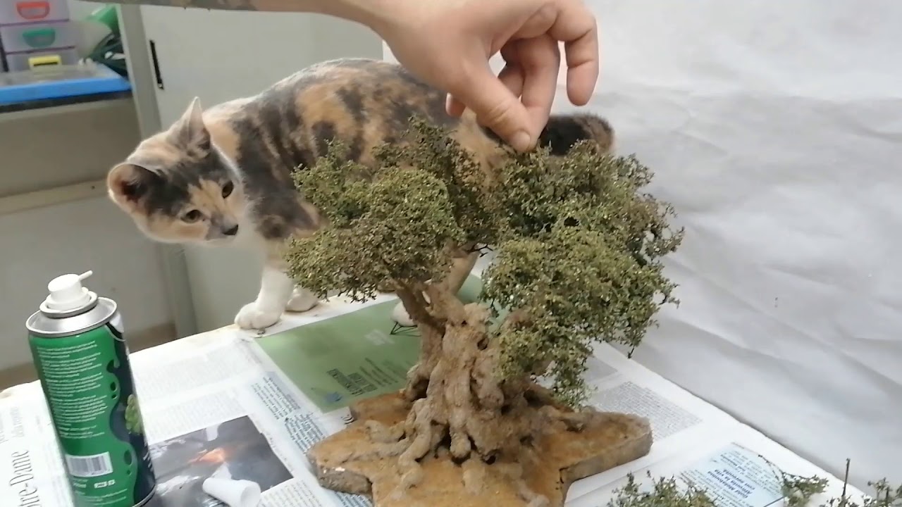 Come fare una Chioma Con Foglie di Albero di Ulivo - How to make a crown with olive tree leaves