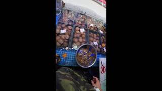 Sea Urchin Opening
