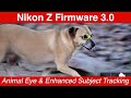 Nikon Z 3.0 Firmware: What we learned. What you need to know.