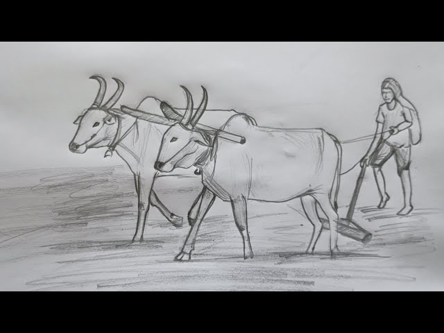 Farmer working in the field step by step drawings - YouTube