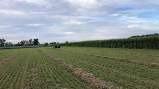 John Deere 620 raking oats, establishing a new hay field