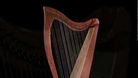 FH34 in bubinga,  built by Dusty Strings