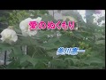 20.2.25恋い来い歌の小径 美川憲一 愛のぬくもり