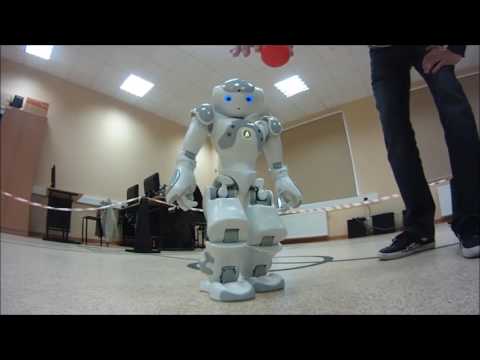 Nao demonstration