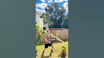 Why the Banana Trees Cut Down