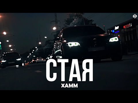 Xamm - Стая (Премьера, 2025)