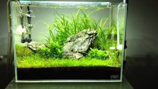 Last Update on Mini-M 'REDUX' scape