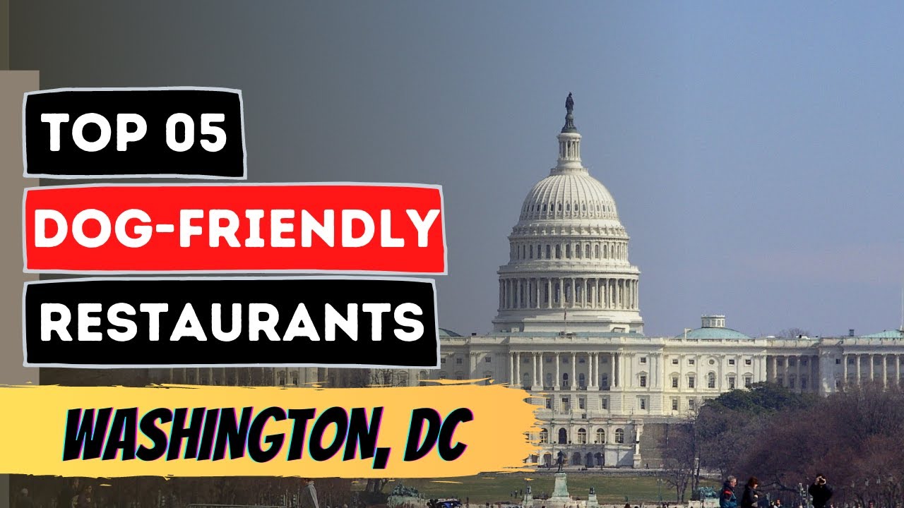 Are Dogs Allowed In Restaurants In Dc