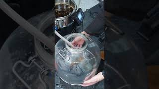 My Dark Mild Homebrew - Grain to Glass #homebrewing #beer