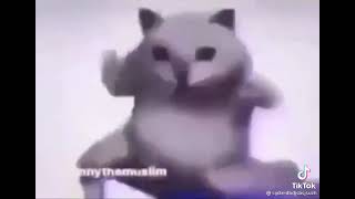 حبيبي هوايه موط ت    سمعها