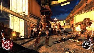 Shadow Warrior (2013) - Chapter 10 (Insane Difficulty - All Secrets)