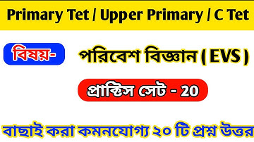 Primary Tet Evs Question | Environmental Science | পরিবেশ বিজ্ঞান | Tet Evs | Upper Primary | Ctet