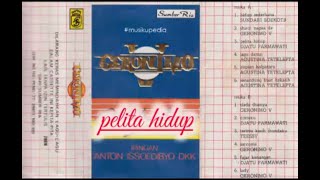  Album Geronimo V  Pelita Hidup