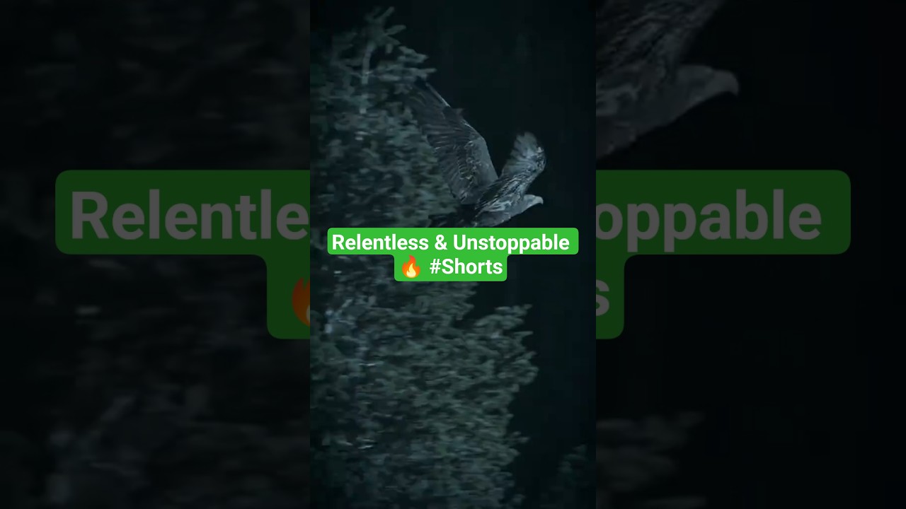 Relentless & Unstoppable 🔥 