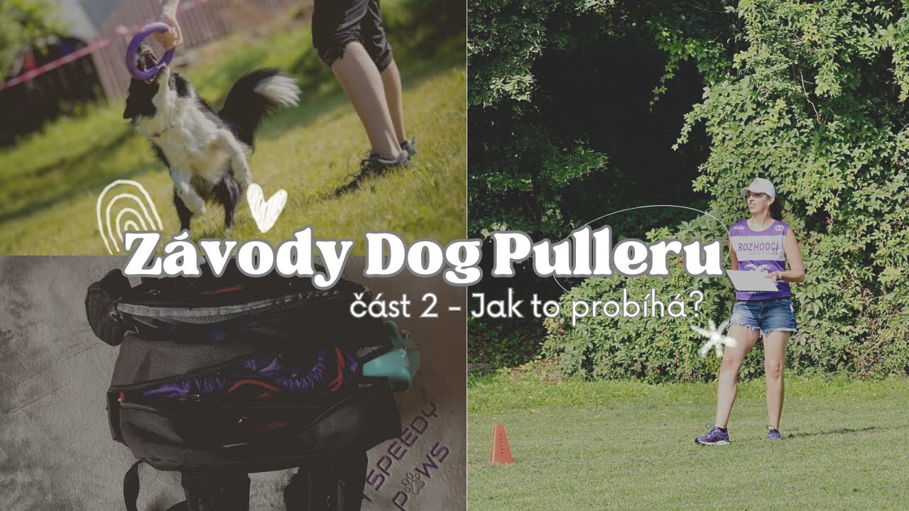 ZÁVODY Dog Pulleru - o disciplínách, o organizaci a o nás