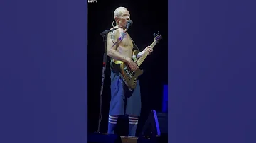 Flea Being Flea Shorts Flea RedHotChiliPeppers 