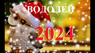 ВОДОЛЕЙ. ПРОГНОЗ на 2024 год. ТАРО. Татьяна Шаманова