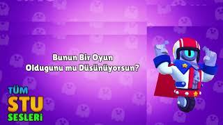 Stu Sesleri Konseptti̇r Xd