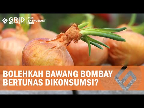Video: Bolehkah bawang putih bertunas dimakan?