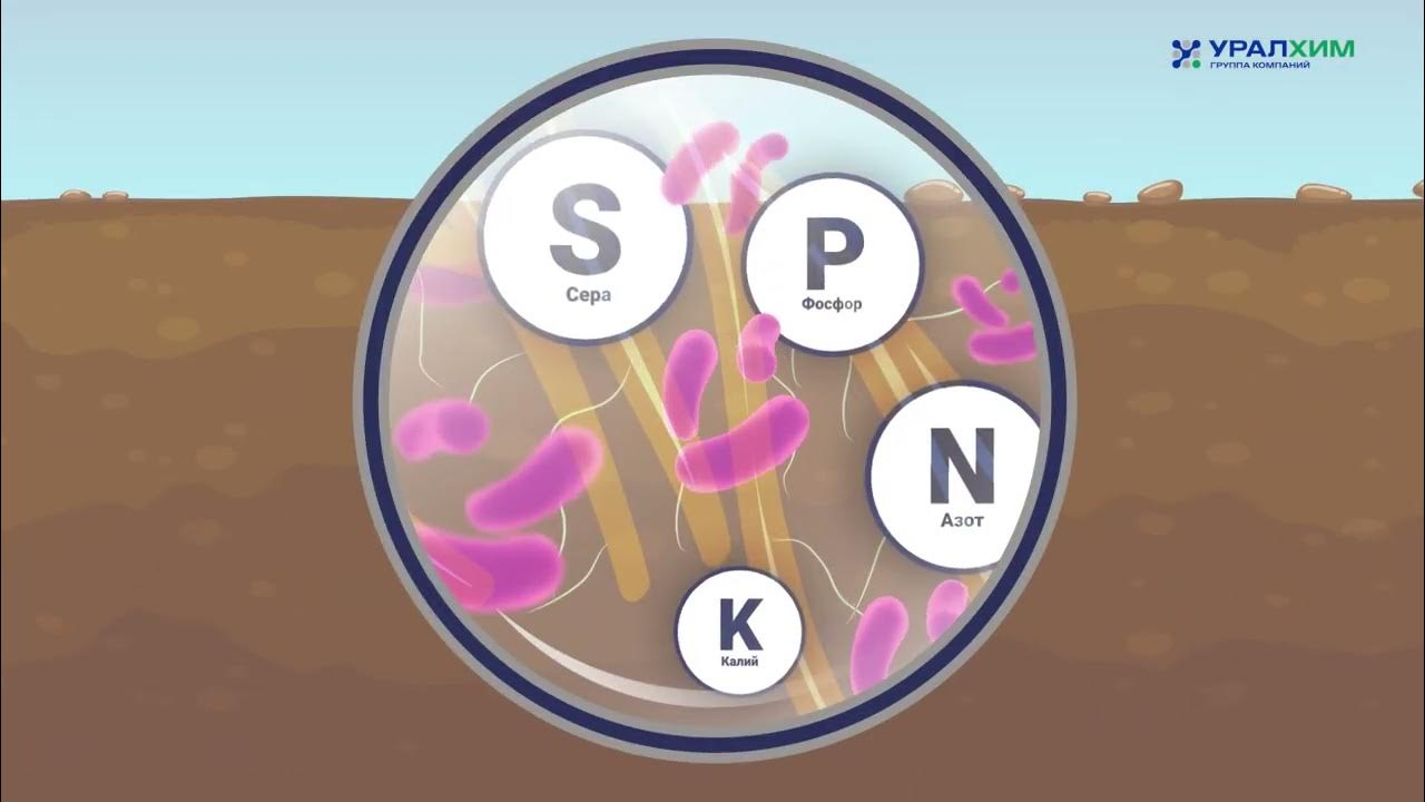 Биомодифицированное удобрение МультиСтарт от Группы "Уралхим" - YouTube