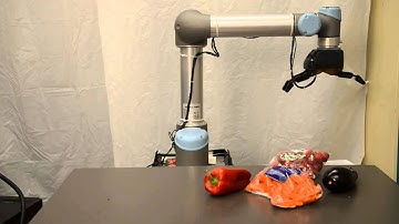 Each Picking Solution from RightHand Robotics