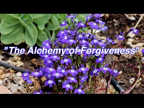 The Alchemy Of Forgiveness | Center for Spiritual Living | Dallas, Texas | Call 972-468-1331