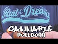 Cannabis - Bulldogg (Official Music Video)