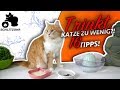 ðŸ”¥Katze trinkt nicht oder zu wenig? | 16 Tipps | Katze zum Wasser trinken animieren!