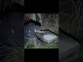 【TikTok切り抜き】なまにくスーツケース#shorts
