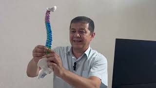 видео: умуртка канали иккиламчи  стенозига сабаб булувчи 10 та асосий омил ( фактор) тугрисида картинка: умуртка канали иккиламчи  стенозига сабаб булувчи 10 та асосий омил ( фактор) тугрисида