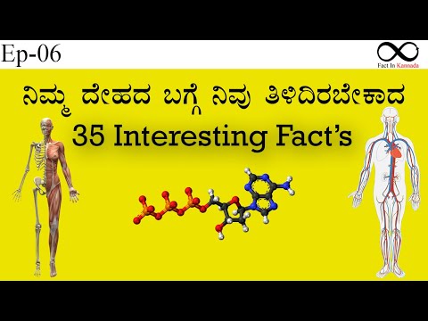 Ep-06 |35 ಮಾನವ ದೇಹದ ಬಗ್ಗೆ ಕುತೂಹಲಕಾರಿ ಸಂಗತಿಗಳು| ಮನವ ದೇಹದ ಬಗ್ಗೆ 35 ಕುತೂಹಲಕಾರಿ ಸಂಗತಿಗಳು ಕನ್ನಡ ದಲಿ|