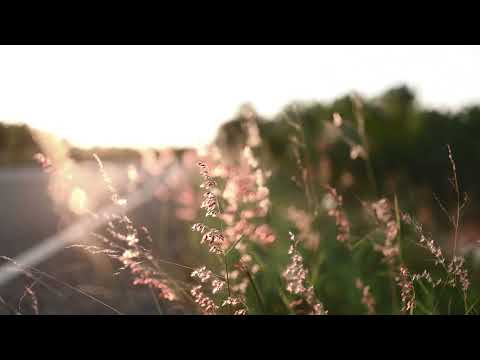 คนทางนั้น [ Miss You ] : GiFT My Project [High Quality Audio]