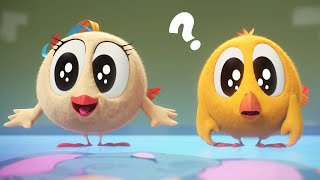 What Animal Is It? | Where's Chicky? | Cartoon Collection in English for Kids | New episodes