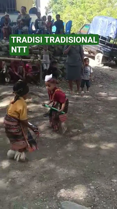 TARIAN NTT #tarianntt #tradisi #shortsfeed #shortsvideo #shortvideo #shorts