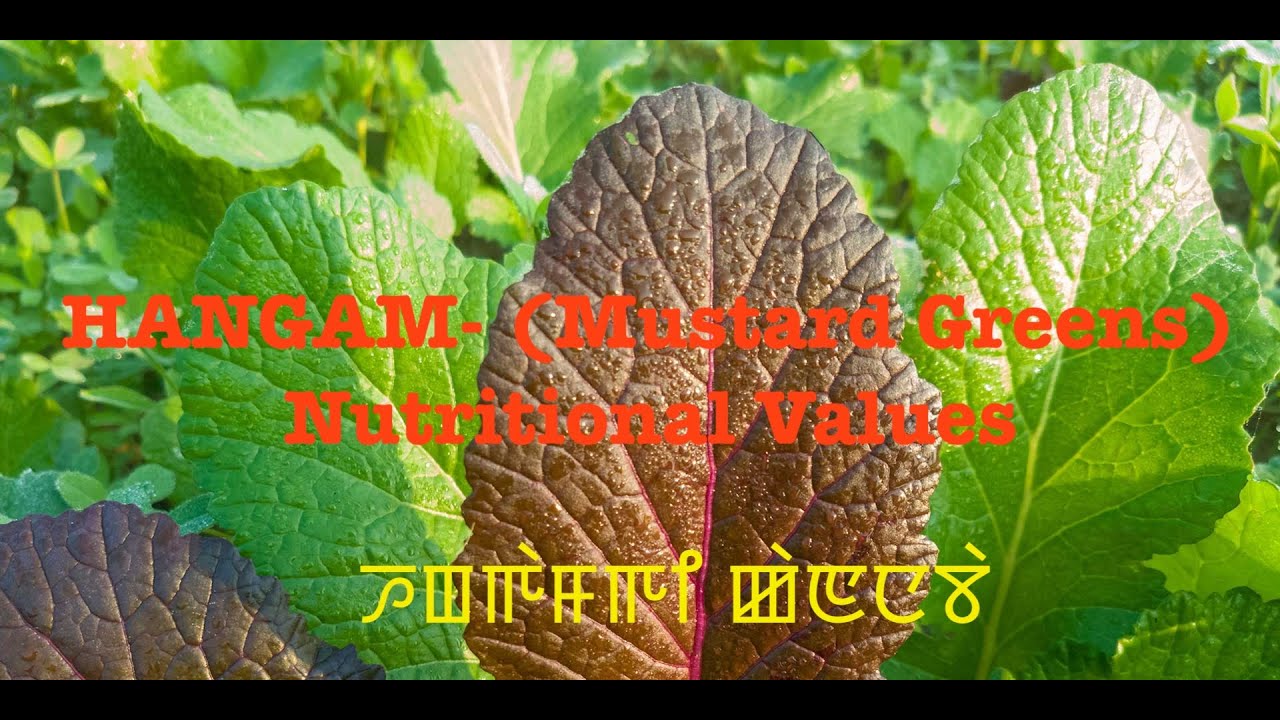 HANGAM (Mustard Greens) Nutritional Values (Manipuri): ꯍꯡꯒꯥꯝꯒꯤ ꯀꯥꯟꯅꯕꯥ