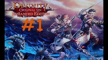 Divinity: Original Sin Enhanced Edition Tactician Mode Lets Play Part 1