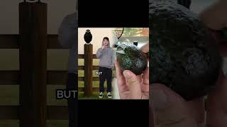 Famous Why Crows are Evil… #shorts #facts Profile