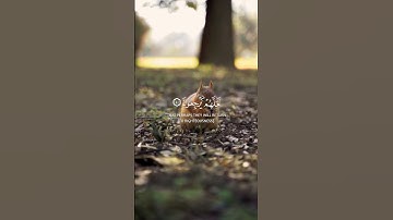 قران كريم الفضائيه #قرآن #قرآن_كريم #quran #holyquran #اكسبلور #تلاوة_خاشعة #arabic #hijab #قطر